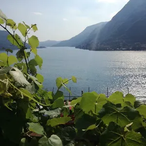Panorama Appartamento Pognana Lario